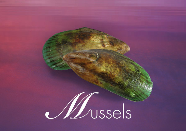 Sea Products Mussels